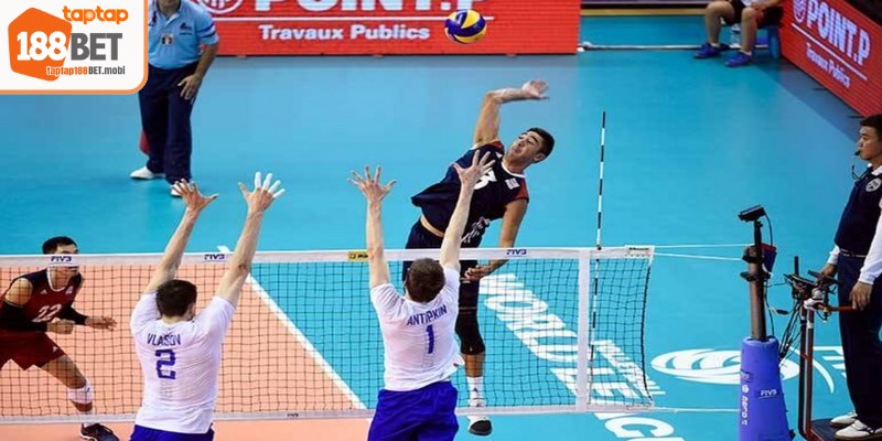 Những hình thức cá cược bóng chuyền phổ biến dành cho bạn 