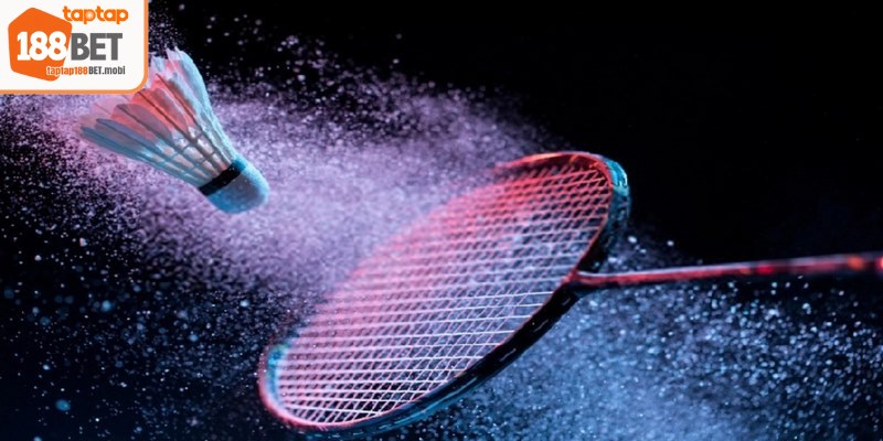 Quy tắc chi tiết tham gia cá cược cầu lông