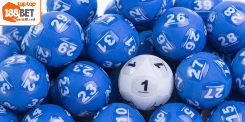 Giao diện trực quan, các công cụ thống kê và thông báo kết quả tự động