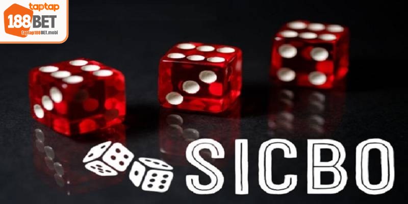 Sicbo là một trò chơi xúc xắc phổ biến trong các sòng bạc hiện nay